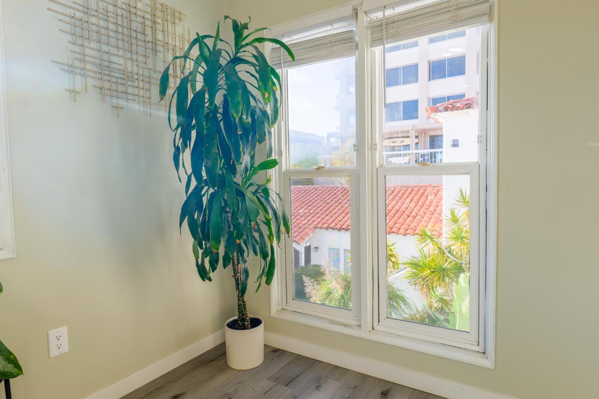 2br Retreat Near Balboa Park Apartment San Diego
